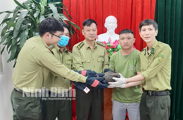 Vườn Quốc gia Cúc Phương cứu hộ thành công động vật hoang dã quý hiếm