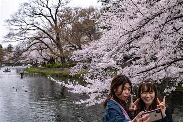 Nhật Bản mở cửa du lịch lần đầu tiên sau hơn 2 năm chống dịch COVID-19