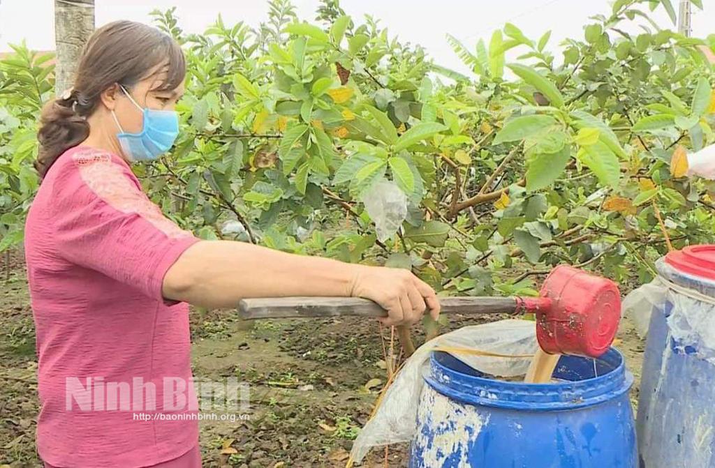 Phụ nữ Khánh Thành thực hiện hiệu quả mô hình "Phân loại và xử lý rác thải bằng men vi sinh bản địa - IMO"