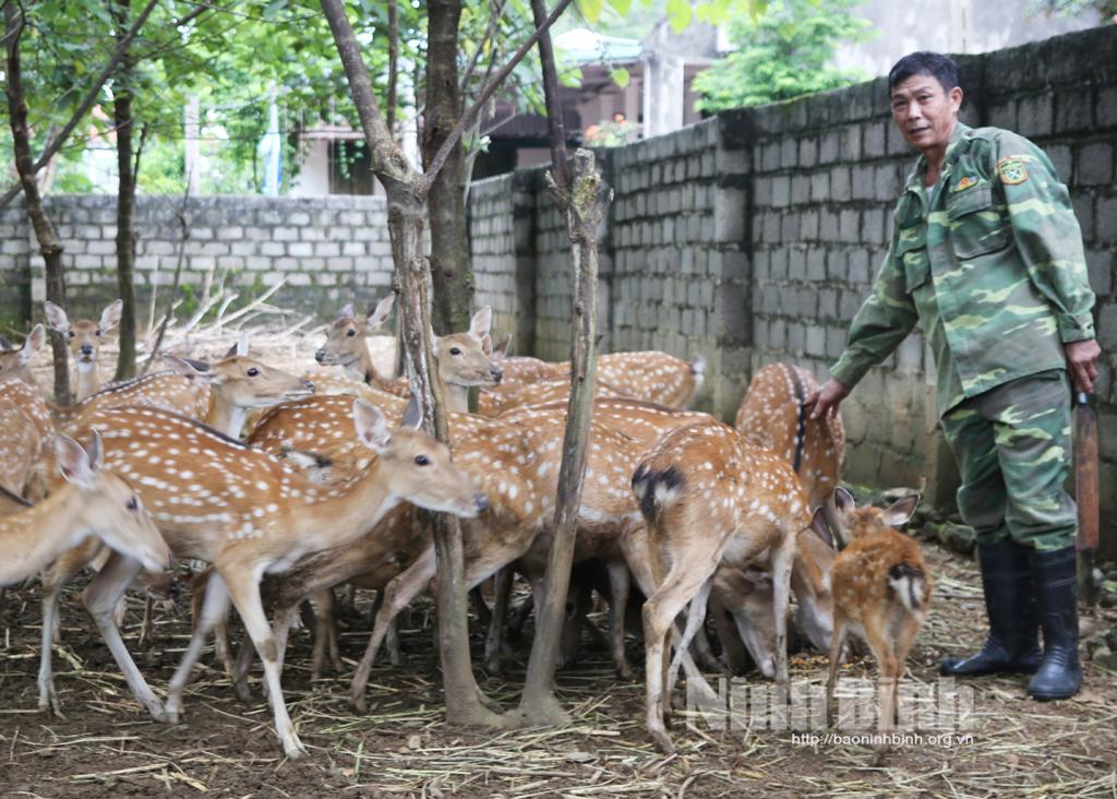 Đảng bộ xã Phú Long lãnh đạo phát triển kinh tế địa phương
