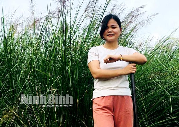 "Bỏ phố về quê" trồng cỏ, kiếm hàng chục triệu đồng mỗi tháng