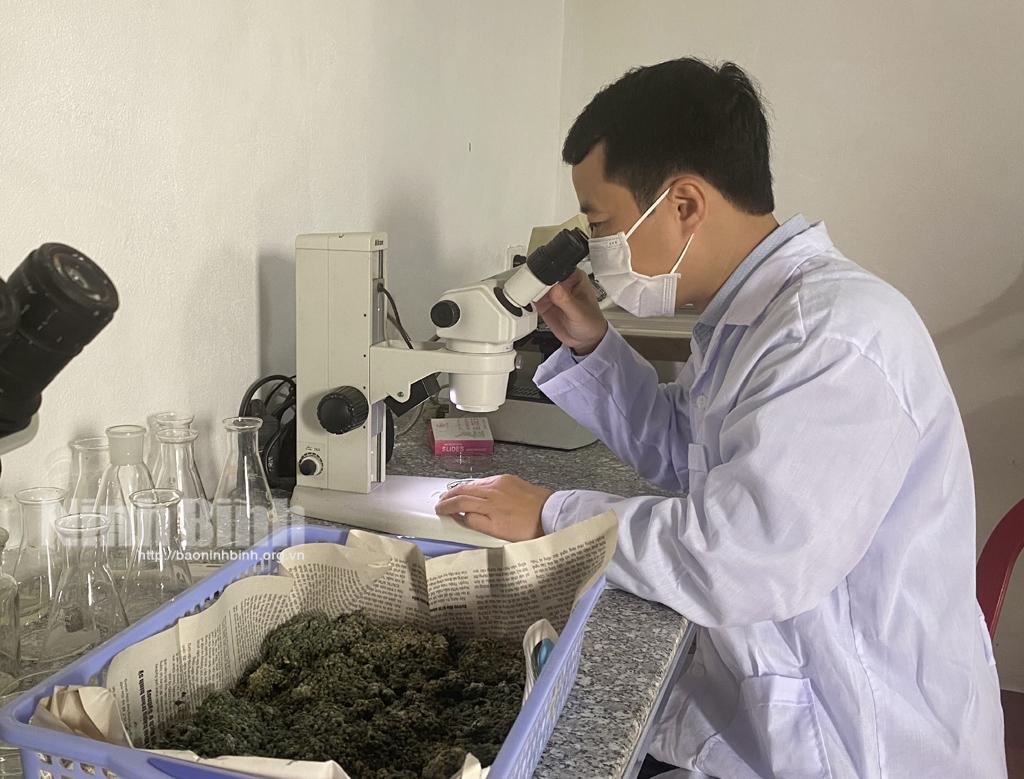 Anh "Quang rác" và giấc mơ giúp nông dân biến phụ phẩm nông nghiệp thành tiền