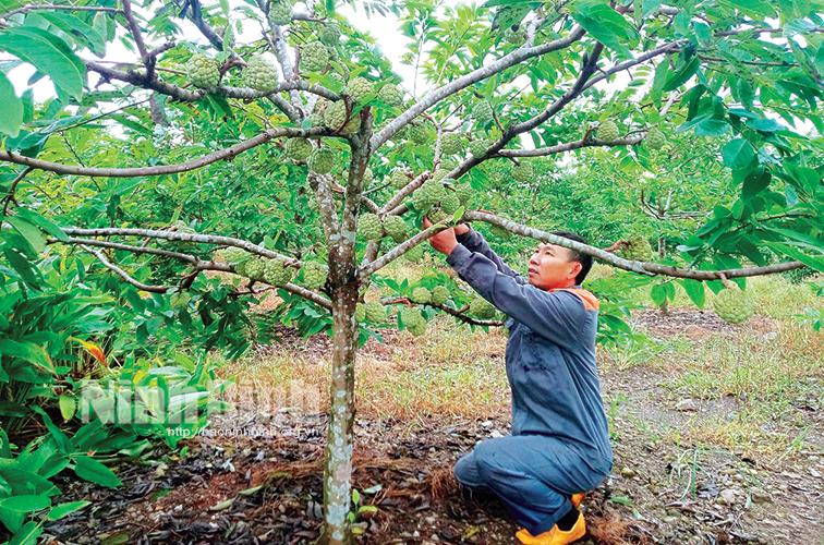Xây dựng nông thôn mới ở Nho Quan: Thành công nhờ lấy dân làm gốc
