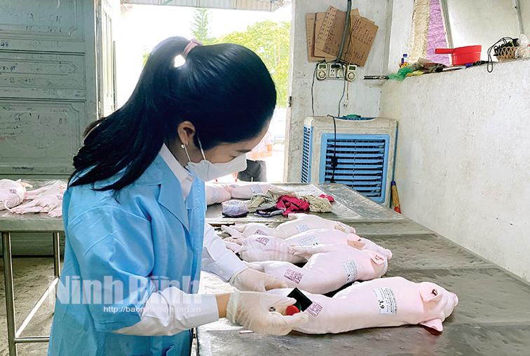 Kỳ 2: Bài toán khó trong xây dựng các cơ sở giết mổ tập trung