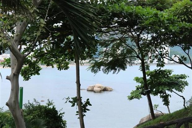 Tạm dừng du lịch lặn biển ở các khu vực dễ bị tổn hại ở vịnh Nha Trang