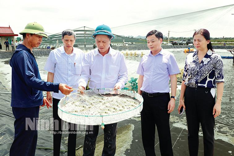 Đảng bộ huyện Kim Sơn 75 năm xây dựng và phát triển