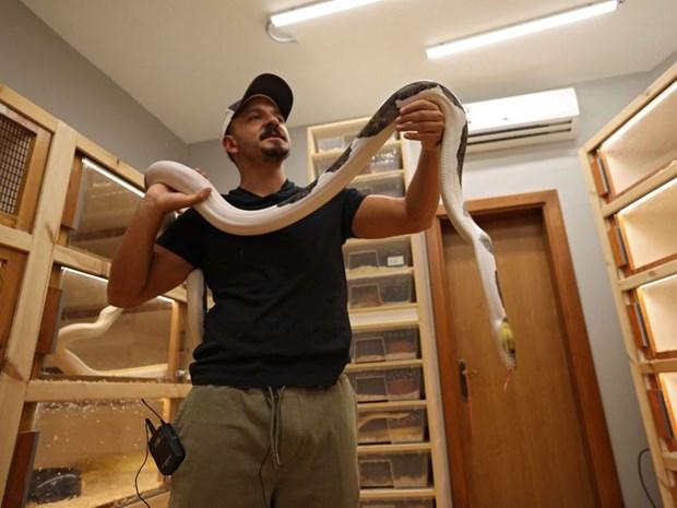 Doanh nhân Saudi Arabia và bộ sưu tập nghệ thuật sự sống về loài trăn