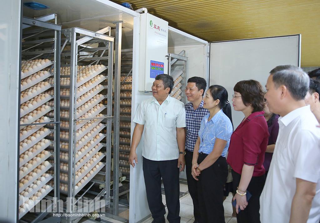 Thẩm định các tiêu chí nông thôn mới tại xã Kim Mỹ và Kim Tân