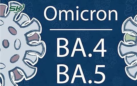 Ca COVID-19 tăng, biến thể phụ nào của Omicron đang chiếm ưu thế trong cộng đồng ở nước ta?