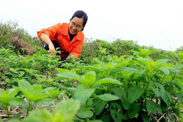 Xây dựng các chuỗi cung ứng thực phẩm an toàn trên toàn quốc