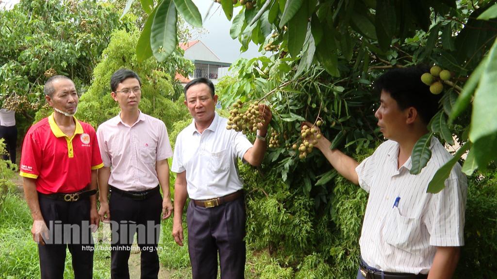 Tín dụng chính sách trên địa bàn huyện Yên Khánh: Gieo niềm tin cho người yếu thế
