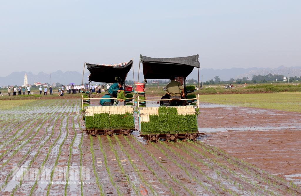 Trình diễn mạ khay, cấy máy tại xã Đồng Hướng