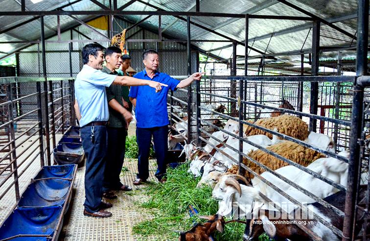 Cựu chiến binh Đông Sơn: Học và làm theo lời Bác
