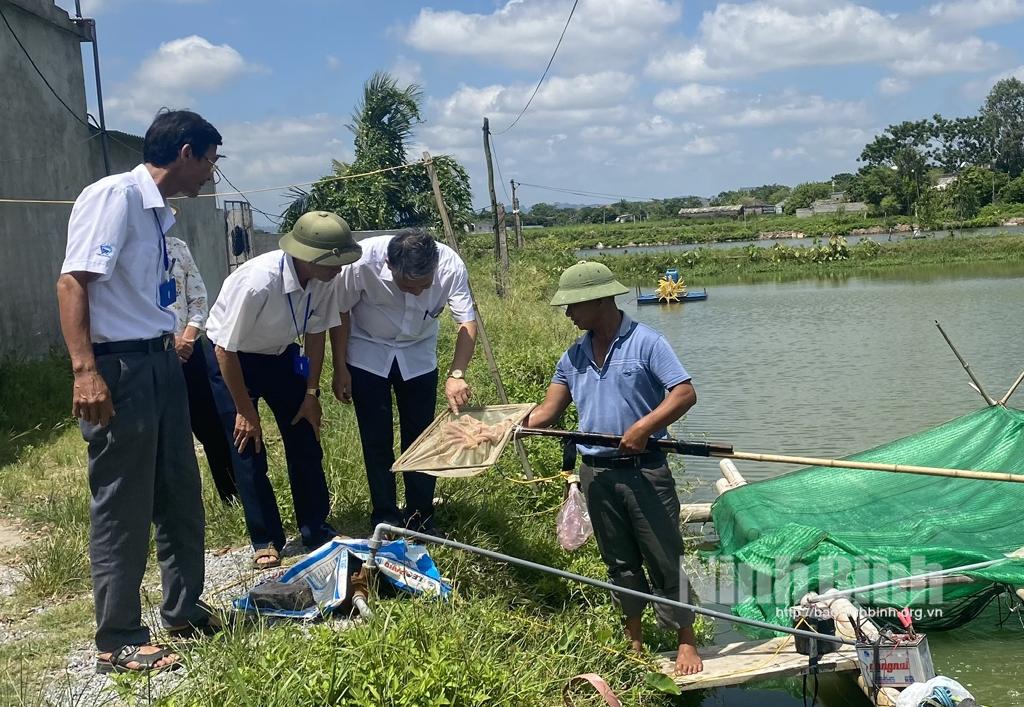 Khánh Hồng, triển khai thí điểm thành công nhiều mô hình kinh tế mới cho hiệu quả cao