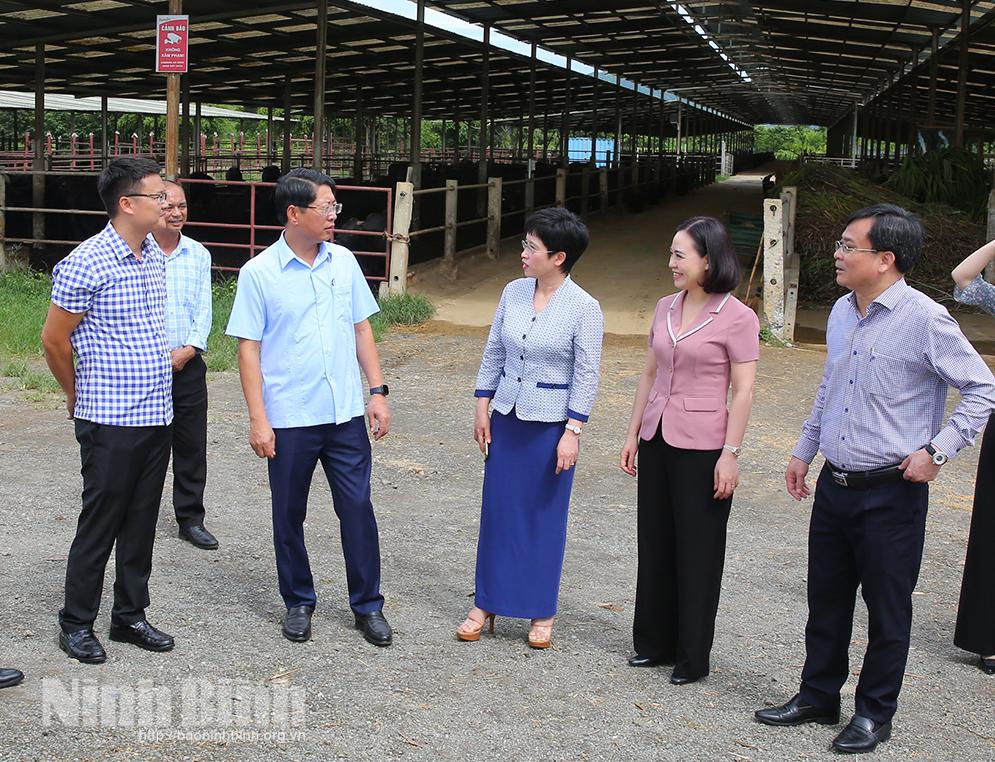Đoàn giám sát chuyên đề của Quốc hội làm việc tại Ninh Bình