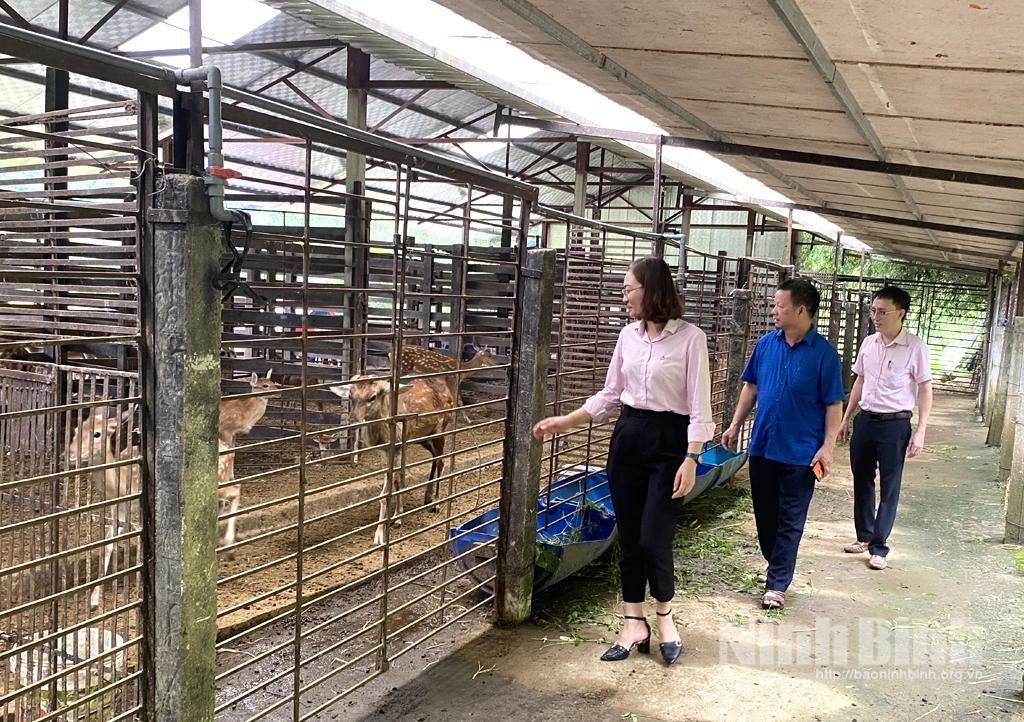 Hiệu quả nguồn vốn tín dụng chính sách ở Tam Điệp