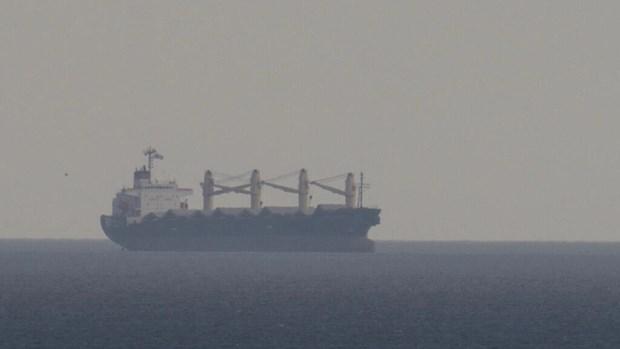 Tàu chở lương thực viện trợ nhân đạo cho châu Phi đã rời cảng Ukraine