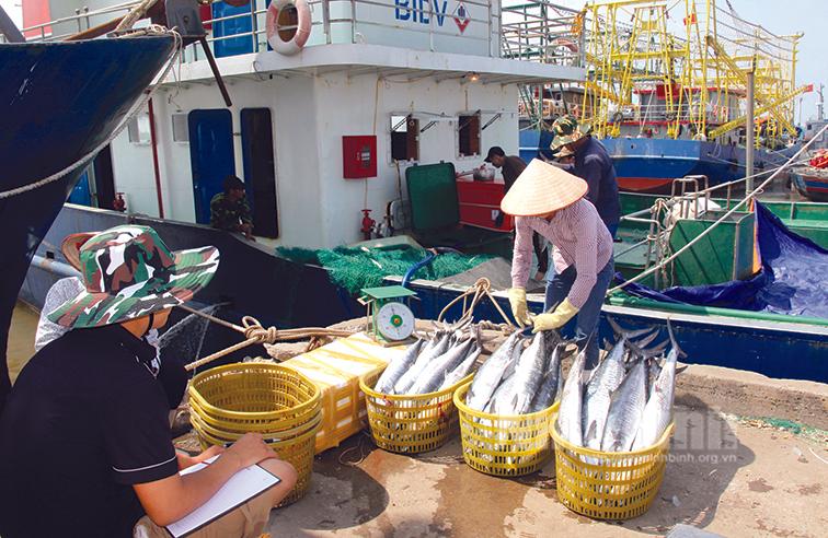 Nỗi buồn "tàu cá 67": (Kỳ 2): Cần sớm có giải pháp tháo gỡ