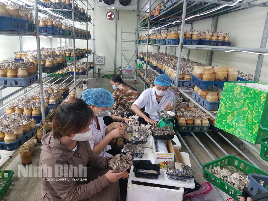 Nâng cao chất lượng, hiệu quả đào tạo nghề cho lao động nông thôn