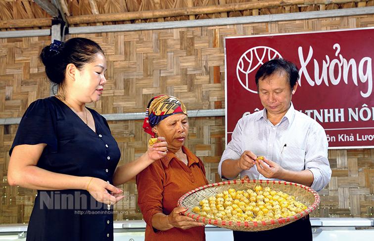 Sản phẩm OCOP - Điểm cộng trong xây dựng nông thôn mới nâng cao