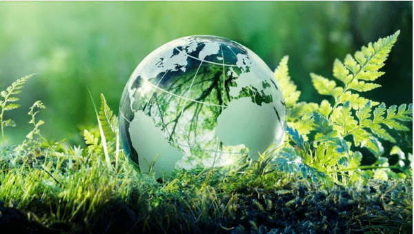 National steering committee on green growth established