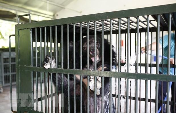 Công chiếu phim tài liệu về bảo tồn động vật, thiên nhiên hoang dã