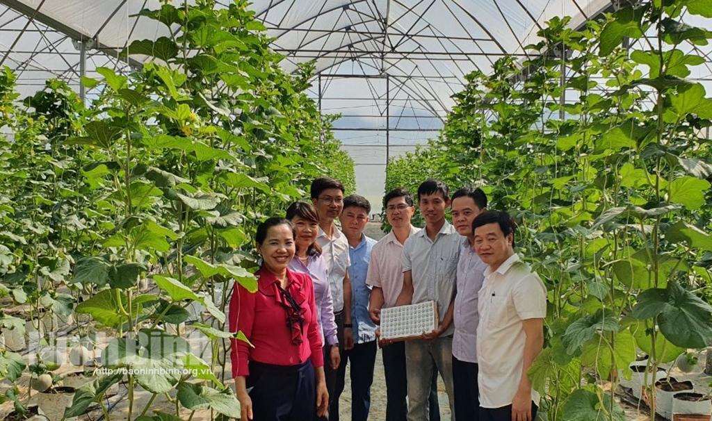 Hội Nông dân thành phố Tam Điệp thi đua sản xuất, kinh doanh giỏi