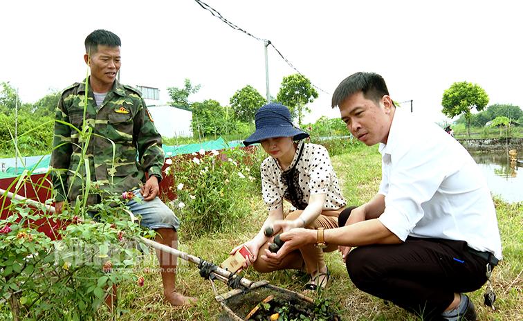 Thu hàng trăm triệu đồng mỗi năm từ mô hình nuôi ốc nhồi