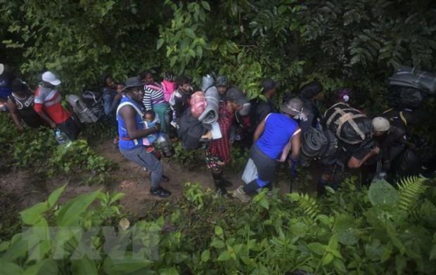 Số người di cư qua rừng rậm Darien đã vượt kỷ lục năm 2021