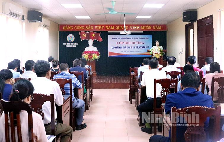 Khai mạc lớp bồi dưỡng, cập nhật kiến thức kinh tế tập thể, HTX