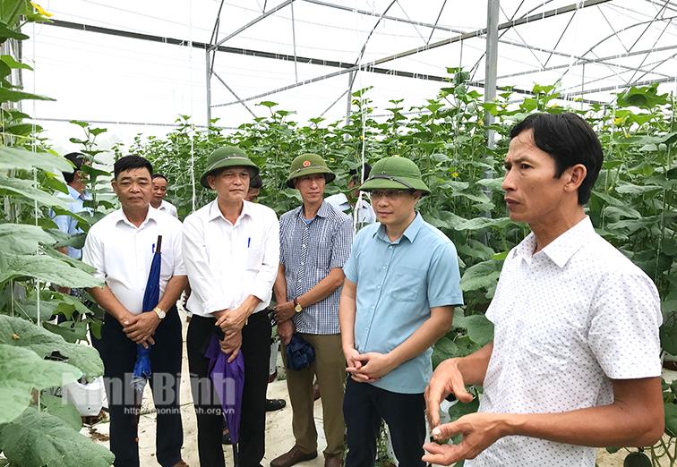 Huyện Yên Mô triển khai kế hoạch sản xuất vụ đông năm 2022