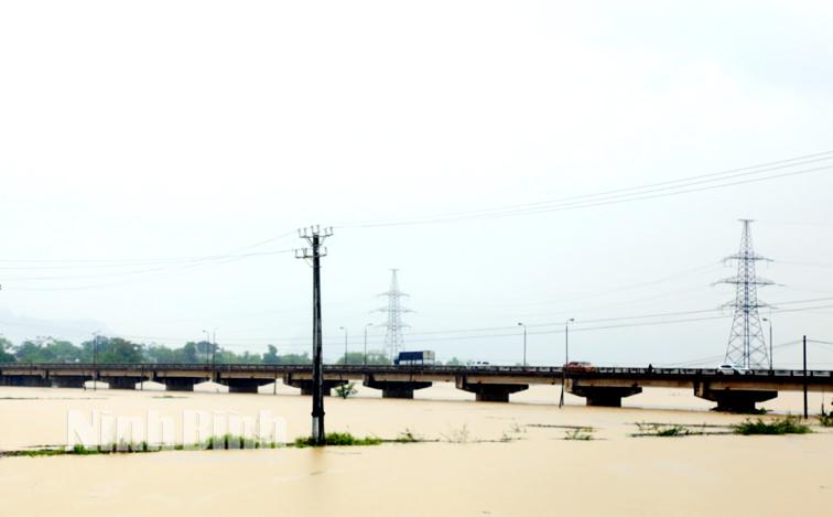 Chủ động ứng phó với mưa lớn, ngập úng tại các vùng trũng thấp và lũ trên sông Hoàng Long và sông Đáy