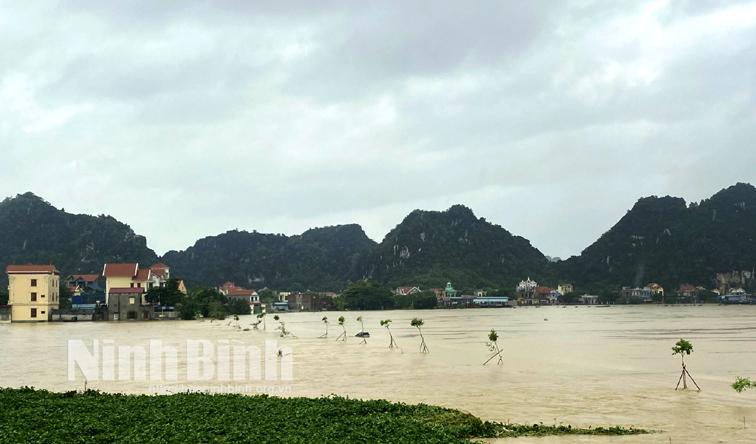 Mưa lớn gây ngập lụt cục bộ ở một số địa phương