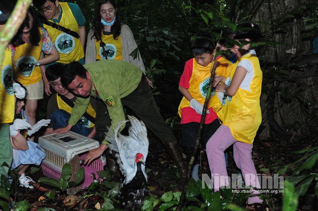 'Forest school' helps spread love for nature