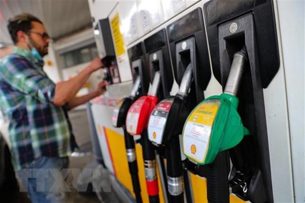 Châu Âu đổ xô tích trữ dầu diesel trước lệnh cấm nhập sản phẩm dầu Nga