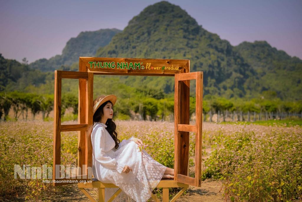 Rực rỡ những cánh đồng hoa chào Xuân mới