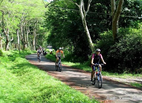 Cuc Phuong National Park - An ideal destination for nature lovers