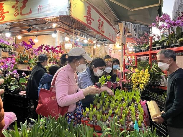 Chợ hoa Hong Kong khoe sắc Xuân, mang ước vọng Năm mới tốt lành