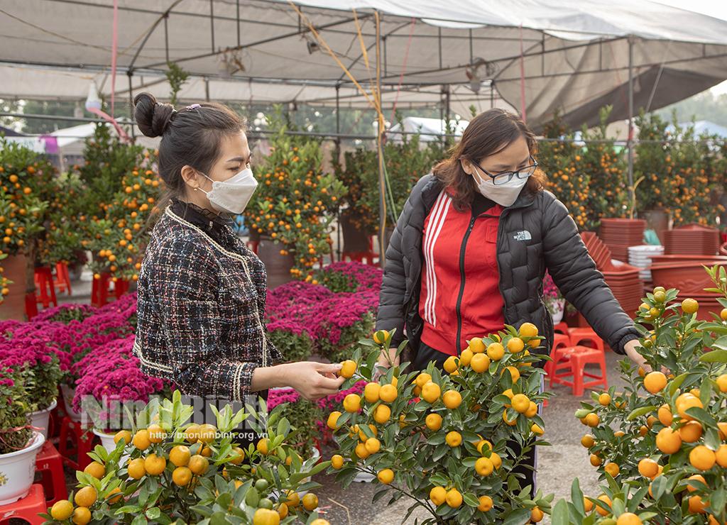 Nhộn nhịp chợ hoa Tết