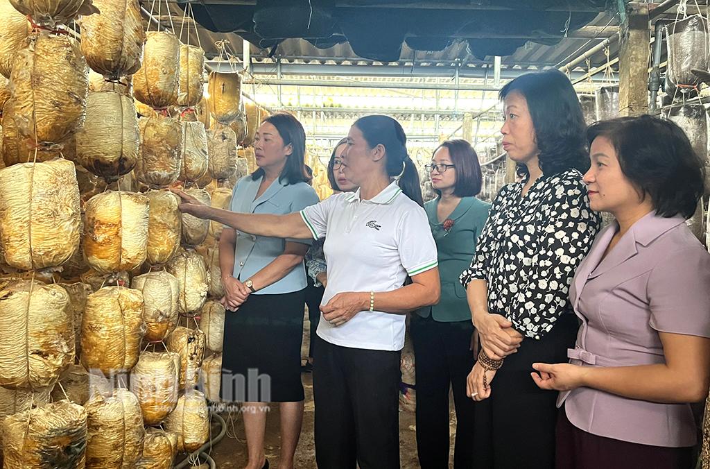 Ra mắt Tổ hợp tác nuôi trồng nấm Ninh Hòa