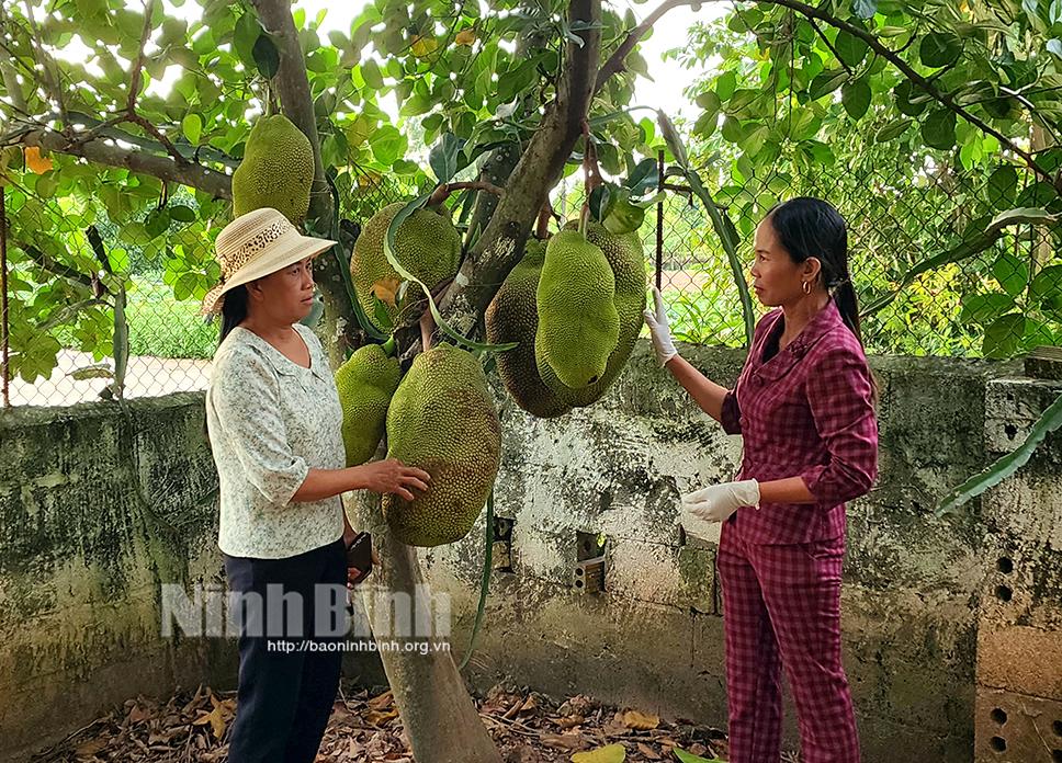 Phụ nữ Yên Khánh năng động, sáng tạo trong phát triển kinh tế