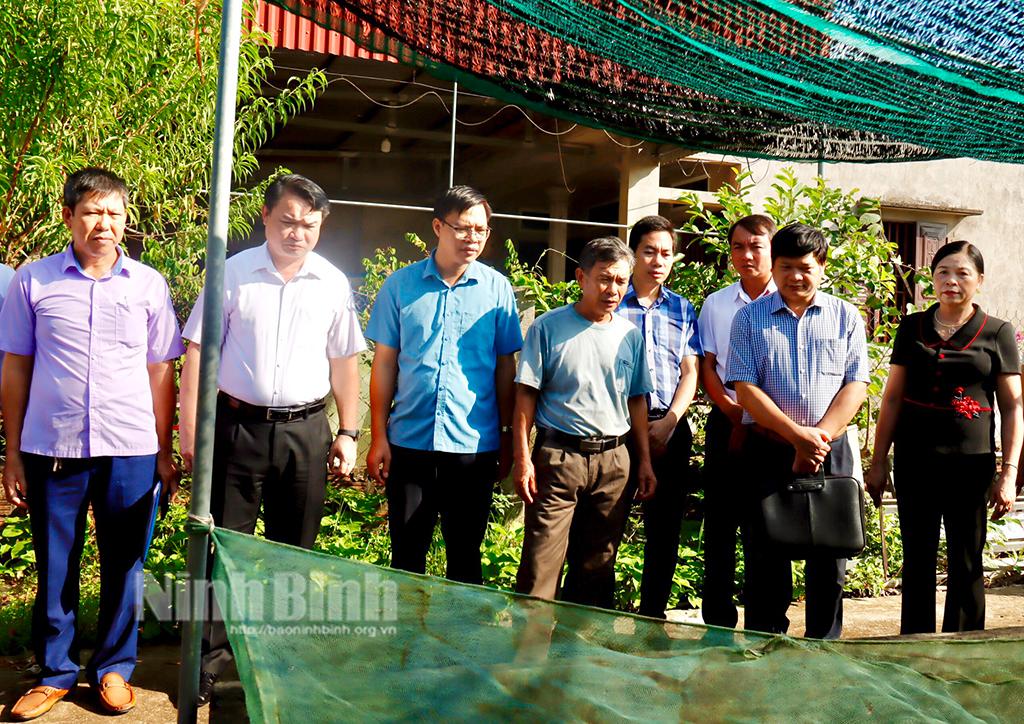 Tăng cường phối hợp dẫn vốn giúp nông dân Yên Khánh đầu tư phát triển kinh tế