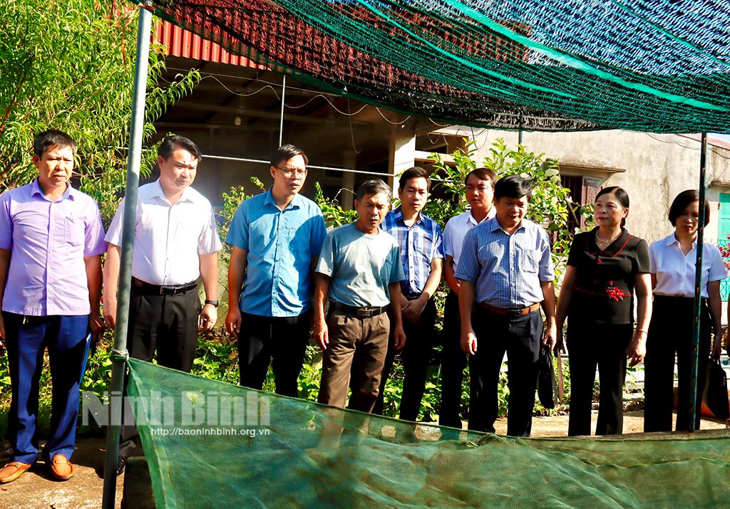 Hội Nông dân tỉnh giám sát thực hiện chính sách tín dụng phục vụ phát triển nông nghiệp, nông thôn