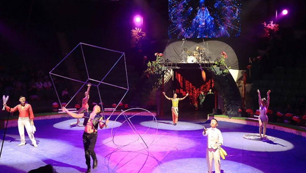 Cuộc gặp gỡ đặc biệt của nghệ thuật xiếc và rock