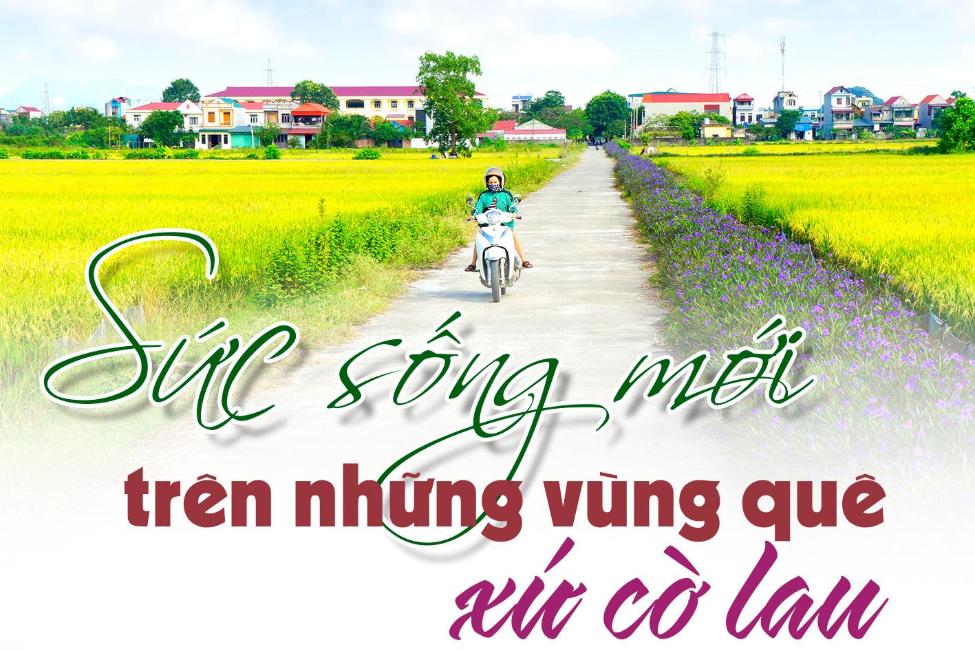 (Emagazine) Sức sống mới trên những vùng quê xứ cờ lau