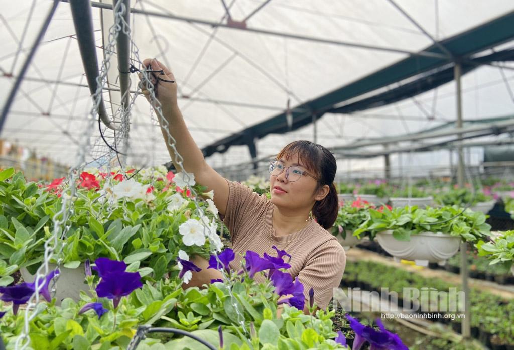 Các nhà vườn tích cực chuẩn bị hoa Tết