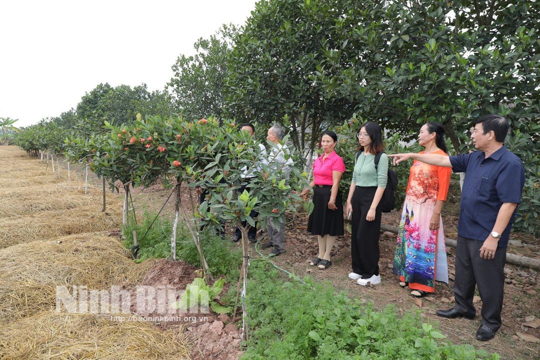 Tham quan mô hình CLB Liên thế hệ tự giúp nhau theo Dự án VIE085