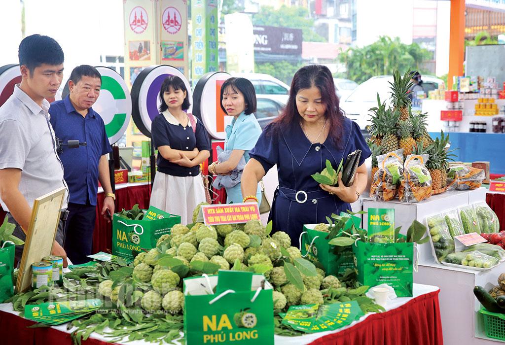 Tìm hướng xuất ngoại cho sản phẩm OCOP