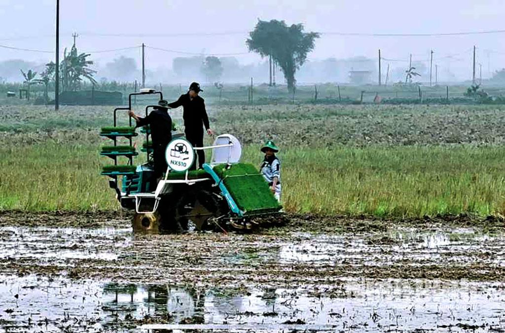 Sẵn sàng phương án sản xuất vụ đông xuân 2023-2024