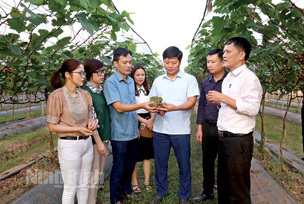 "Cầu nối" đưa khoa học kỹ thuật đến với nông dân